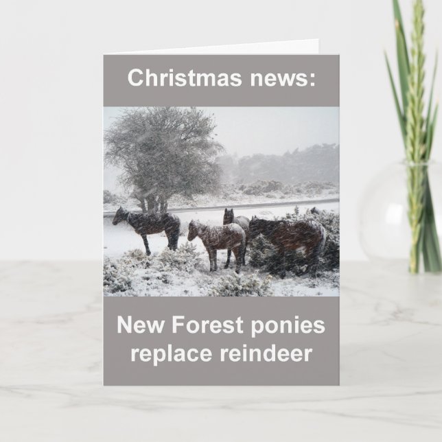 New Forest ponies Christmas card (Front)