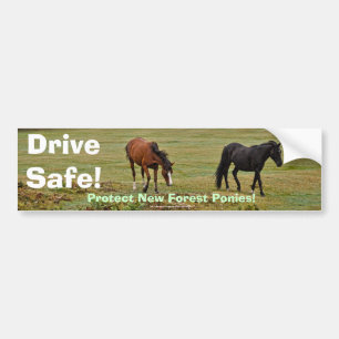 New Forest Ponies of Hampshire England Bumper Sticker