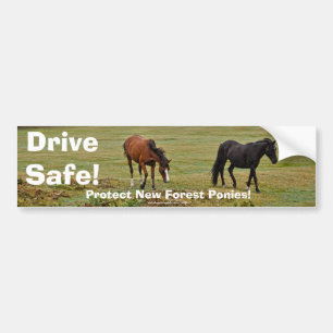 New Forest Ponies of Hampshire England Bumper Sticker