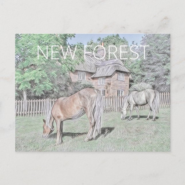 New Forest Ponies Postcard (Front)