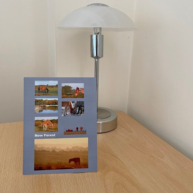 New Forest ponies postcard (Creator Uploaded)