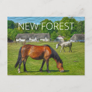 New Forest Ponies Postcard