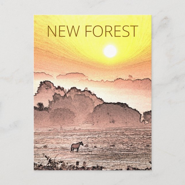 New Forest Pony at Sunrise Postcard (Front)