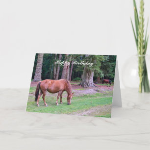 New Forest Pony - Birthday Card