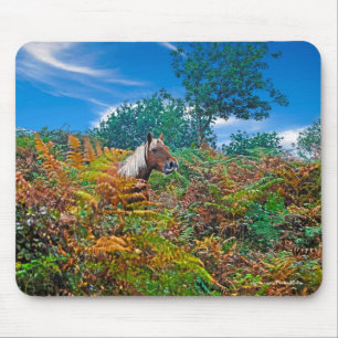 New Forest Pony & Bracken for Horse-lovers Mouse Mat