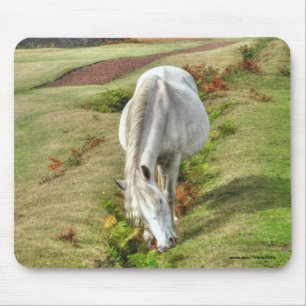 New Forest Pony Horse-lover's U.K. Animal Mouse Mat