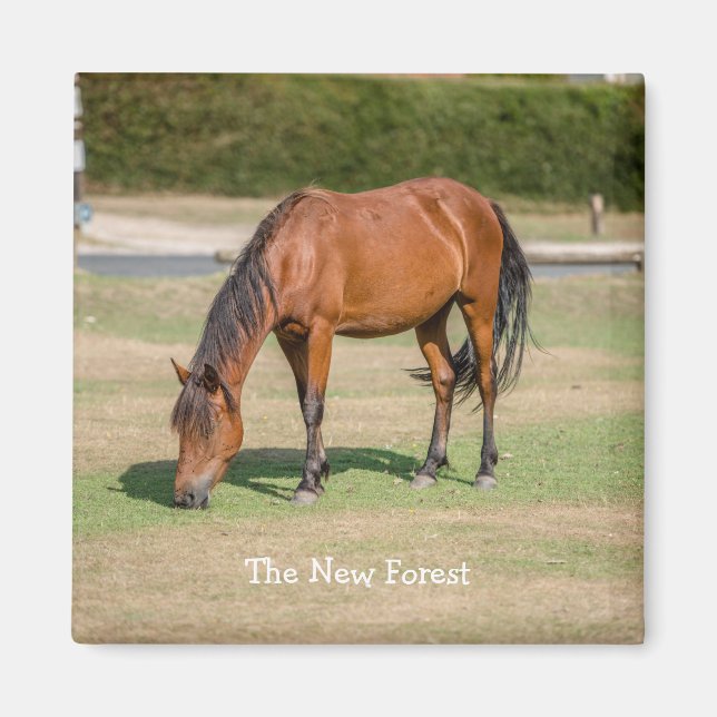 New Forest Pony Magnet (Front)