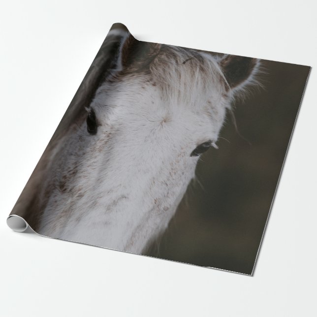 NEW FOREST PONY WRAPPING PAPER (Unrolled)