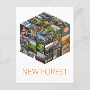 New Forest Postcard