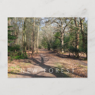 New Forest Postcard
