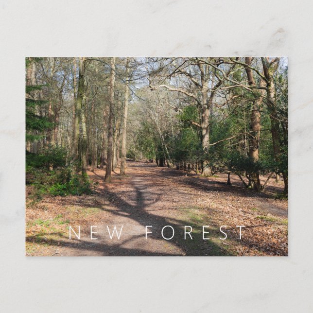New Forest  Postcard (Front)