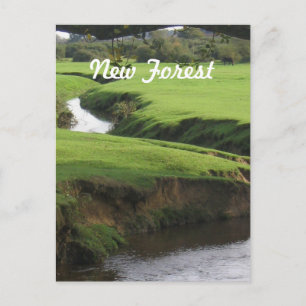 New Forest Postcard