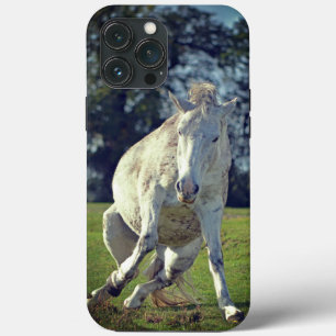 New Forest White Pony Funny Pose iPhone 13 Pro Max Case