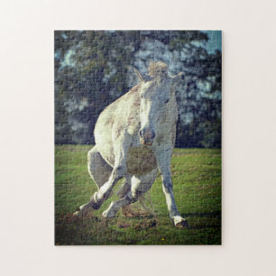 New Forest White Pony Funny Pose Jigsaw Puzzle