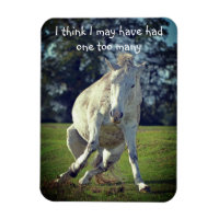 New Forest White Pony Funny Pose