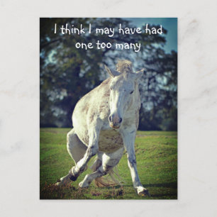 New Forest White Pony Funny Pose Postcard