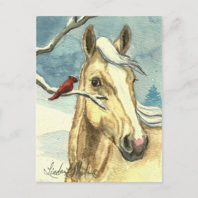 New Friend Wild Horse Post Card (Front)