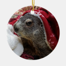 NEW!  Groundhog Carrie Christmas Ornamant 2