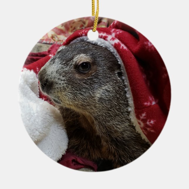 NEW!  Groundhog Carrie Christmas Ornamant 2 Ceramic Tree Decoration (Front)