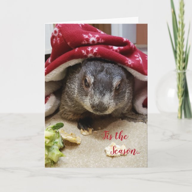 New!!! Groundhog Carrie Holiday Greeting Card (Front)