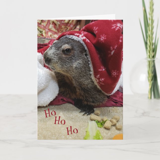 NEW!!! Groundhog Christmas Card B (Front)