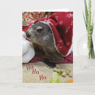 NEW!!! Groundhog Christmas Card B