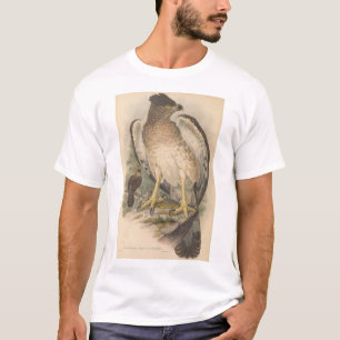 New Guinea Eagle, adult T-Shirt
