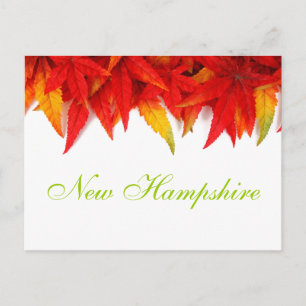 New Hampshire Autumn Leaves Postcard