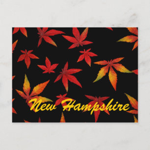 New Hampshire Autumn Leaves Postcard