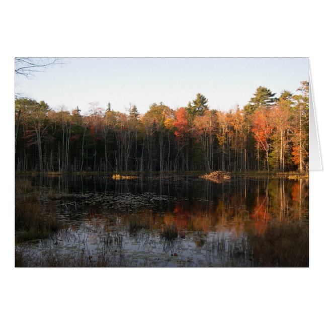 New Hampshire beaver pond in Autumn (Front Horizontal)