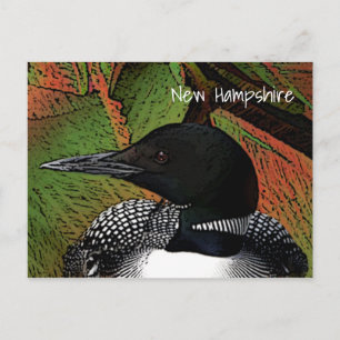 New Hampshire Common Loon Postcard