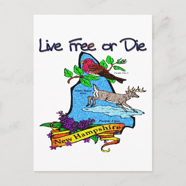 New Hampshire Deer Lilac Finch Postcard (Front)
