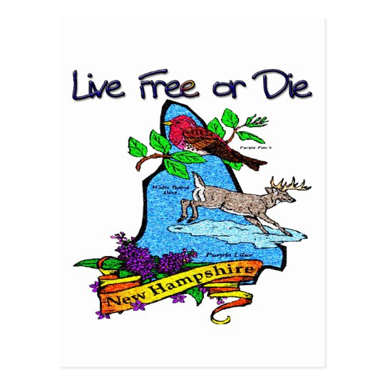 New Hampshire Deer Lilac Finch Postcard