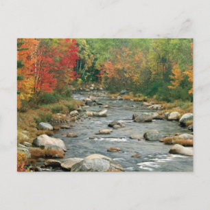 New Hampshire Fall Postcard