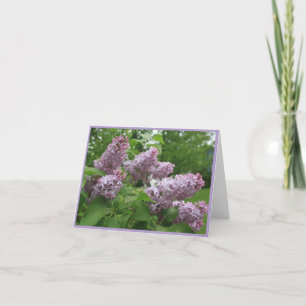 New Hampshire Purple Lilacs Note Card