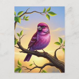 New Hampshire State Bird Purple Finch Postcard