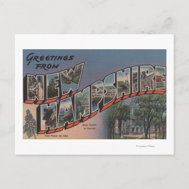 New Hampshire (State Capital/Flower) Postcard (Front)