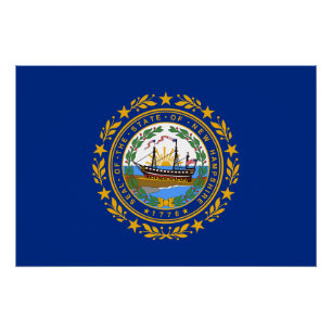 New Hampshire State Flag Poster
