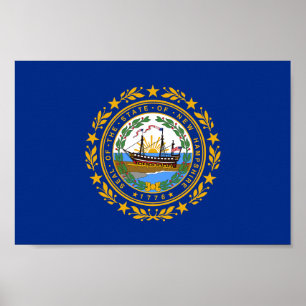 New Hampshire State Flag Poster