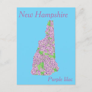 New Hampshire State Flower Collage Map Postcard