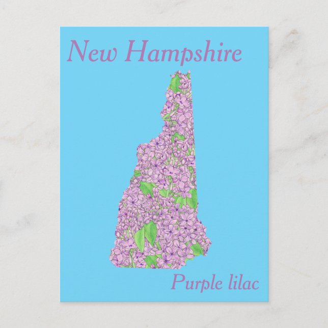 New Hampshire State Flower Collage Map Postcard (Front)