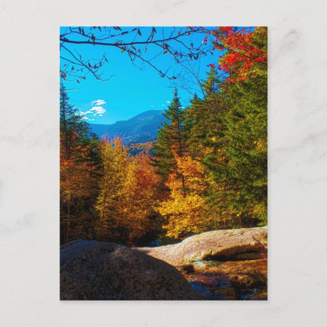 New Hampshire White Mountains Autumn Scene 2013 Postcard (Front)