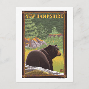 New HampshireBlack Bear in Forest Postcard