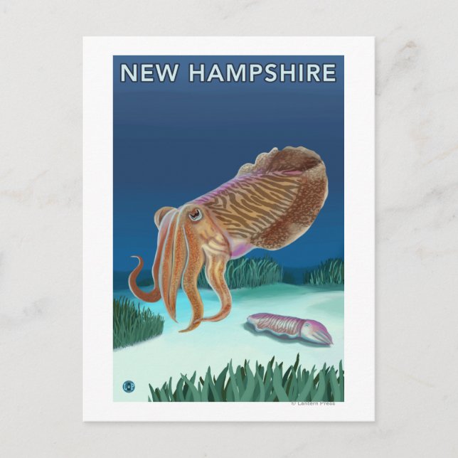 New HampshireCuttlefish Scene Postcard (Front)