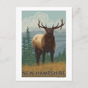 New HampshireElk Scene Postcard