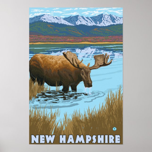 New HampshireMoose Drinking in Lake Poster (Front)