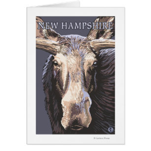 New HampshireMoose Up Close