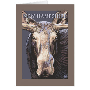 New HampshireMoose Up Close