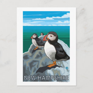 New HampshirePuffins Scene Postcard