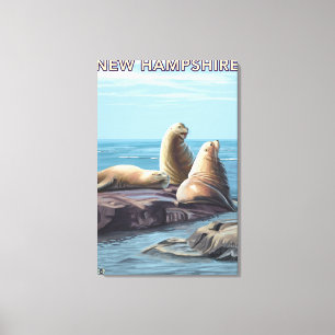 New HampshireSea Lions Scene Canvas Print